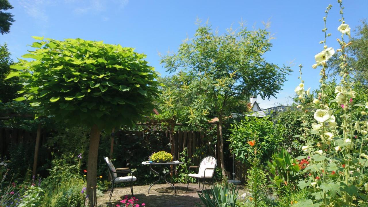 Overbosch Bilthoven Dış mekan fotoğraf