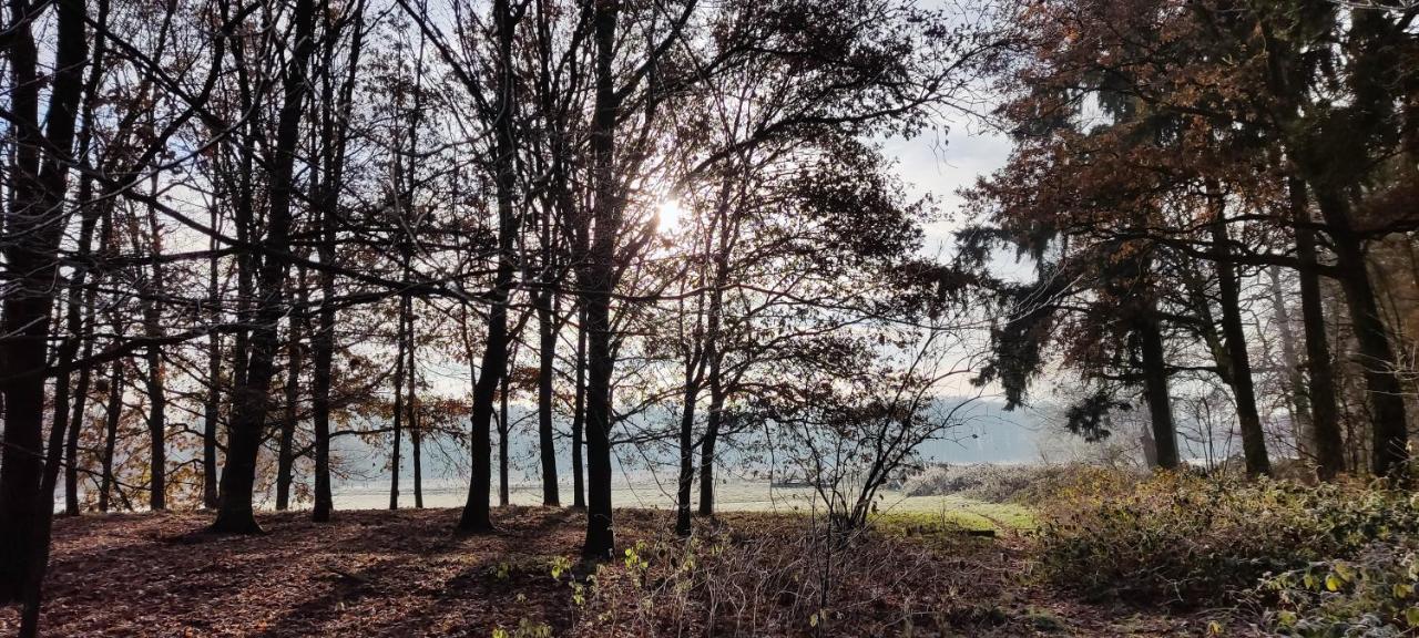 Overbosch Bilthoven Dış mekan fotoğraf